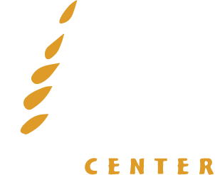 Börek Center